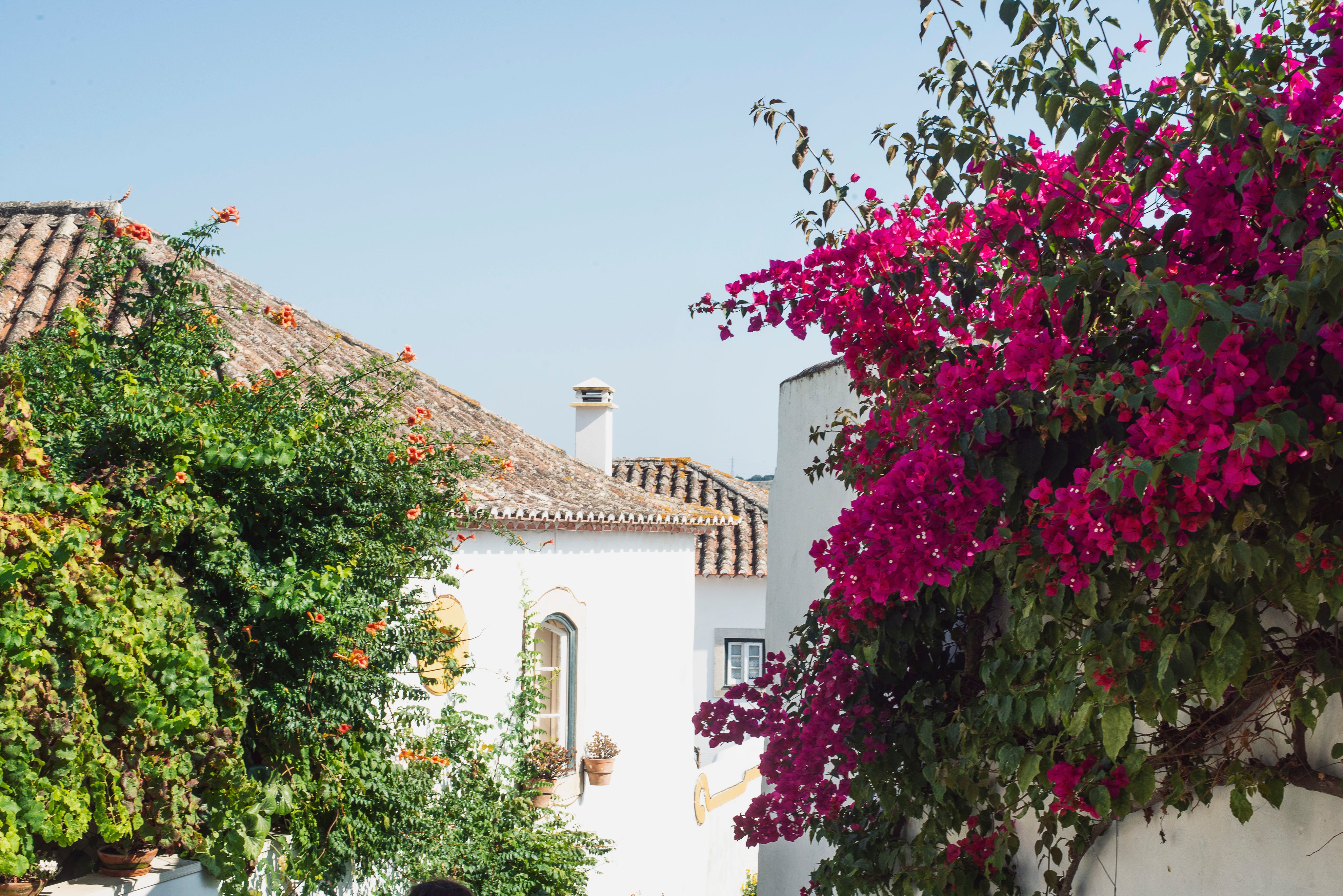 white-mediterranean-buildings-splashed-with-color.jpg